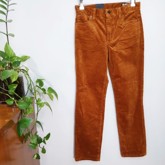 Blank NYC Pants - NWT The Madison Crop Corduroy Pant 25 Copper Color